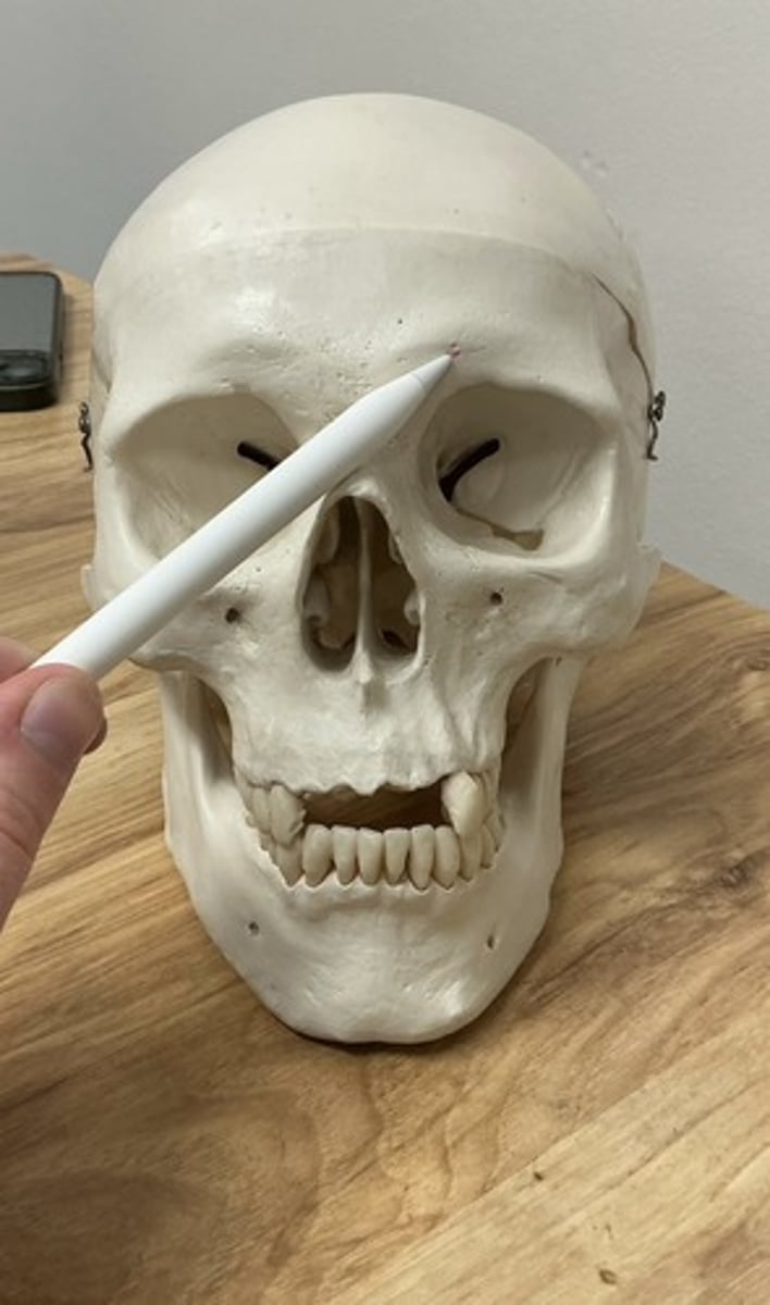 <p>What is being pointed to?</p>