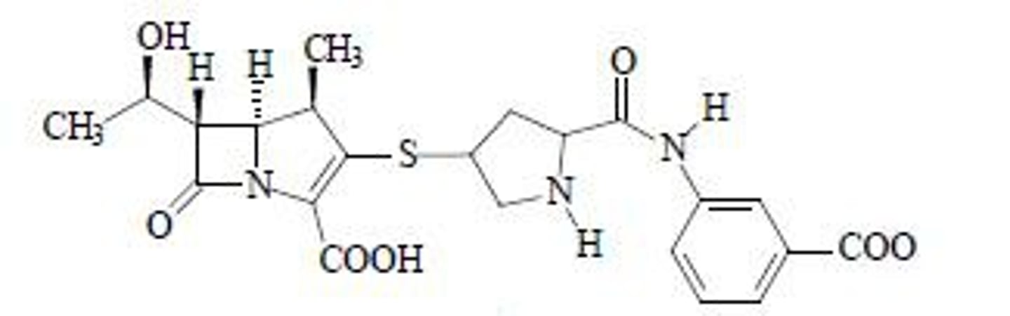 <p>Beta-lactam fused to 5-sided ring</p>