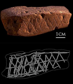 term image