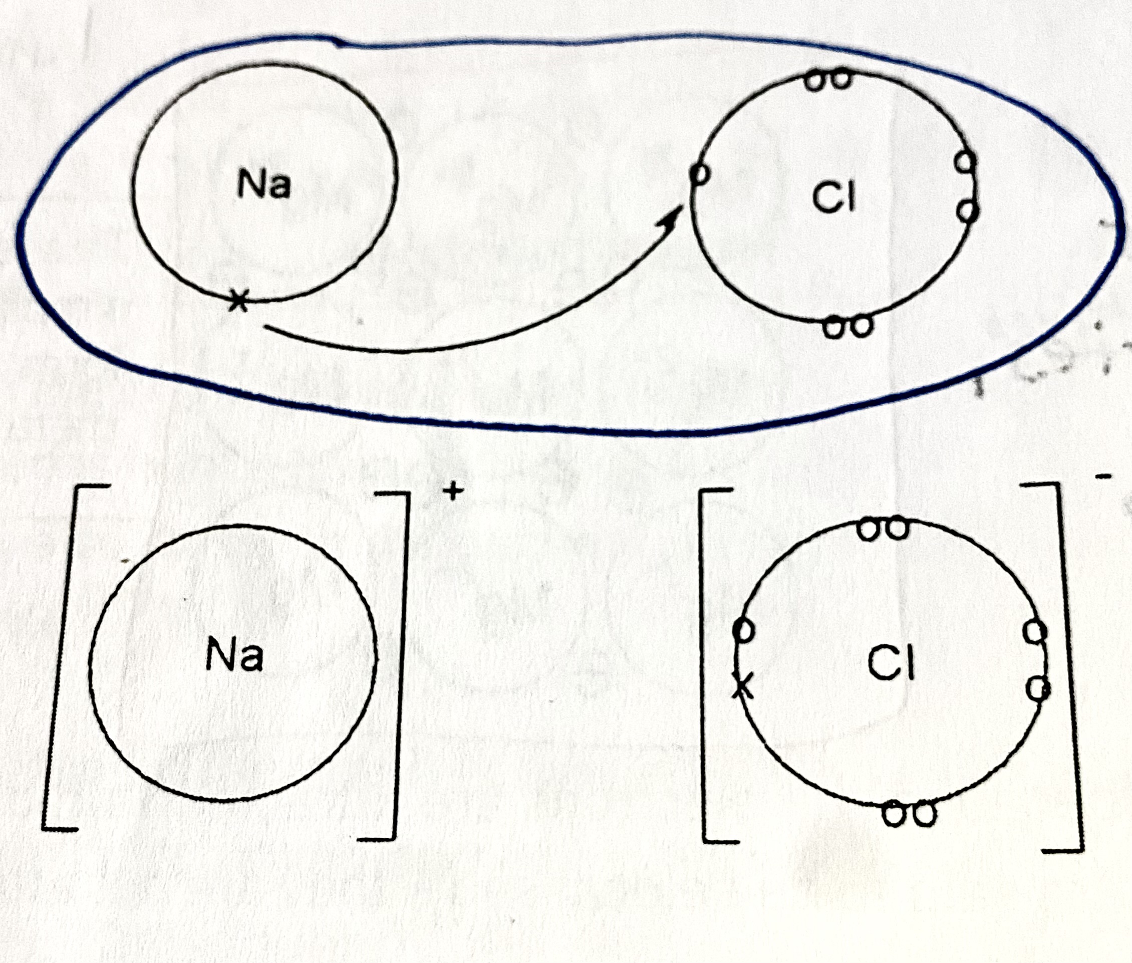 knowt flashcard image