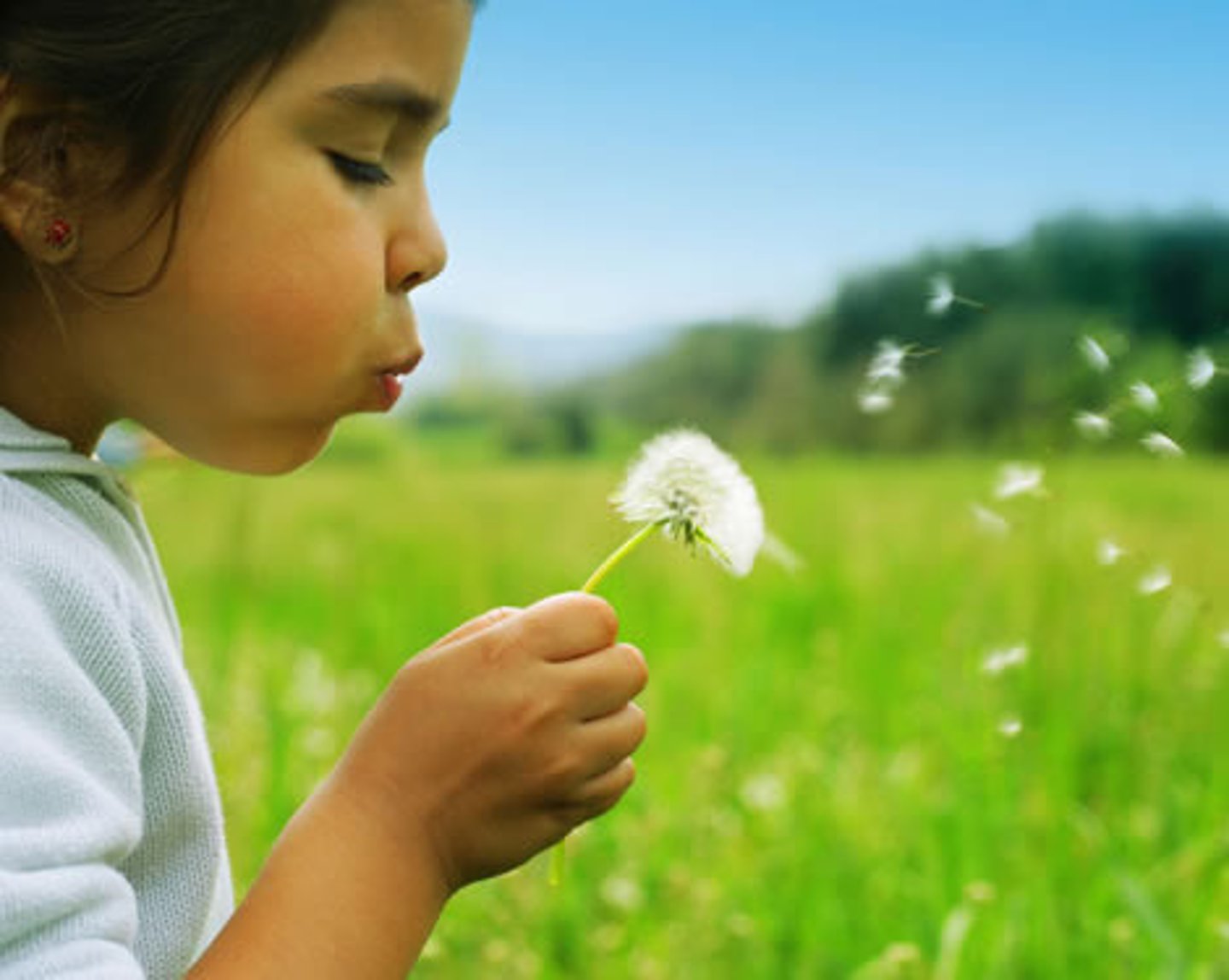 <p>soprar, explodir</p>