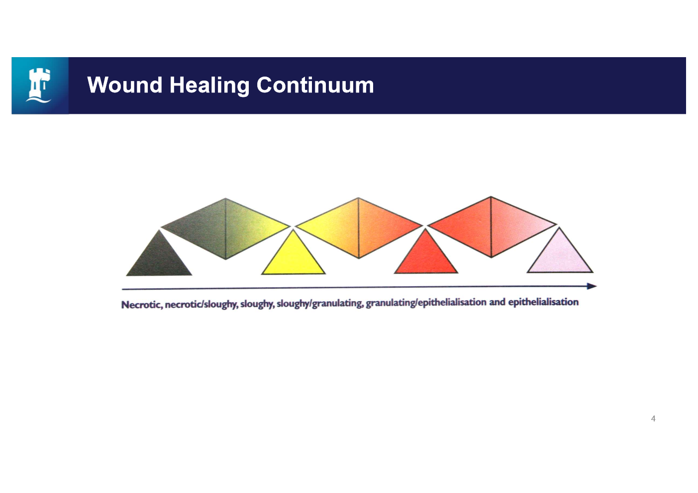 <p>Describe the stage of wound healing<span><span>&nbsp; </span></span>by the colour</p>