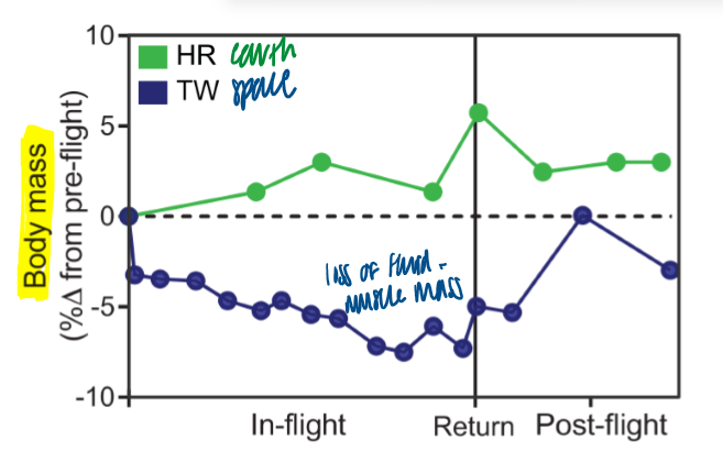 <p>significant loss of fluid and muscle mass </p><ul><li><p>initial spike because of return to fluid </p></li></ul><p></p>