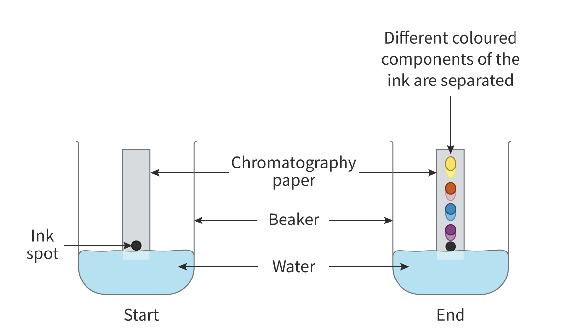 <ul><li><p>to idenitfy how many substances are in an unkwon mixture</p></li><li><p>compare to known samples using the distance travelled up to the paper</p></li><li><p>Separate a mixture of <strong>solutes</strong> in a <strong>solvent </strong>(colors of dyes in an ink)</p></li><li><p>Chromatography paper placed in the solution</p></li><li><p><strong>More</strong> soluble → more affinity for <strong>mobile</strong> phase → moves <strong>up</strong></p></li><li><p><strong>Less</strong> soluble → more affinity for <strong>statioary</strong> phase → moves <strong>down</strong></p></li></ul><p></p>