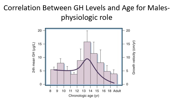 <p>GH increases rapidly starting at birth, steady pre-adolescent years. Spike/peak in adolescent years (earlier for females, just slightly). Declines through adult years.</p><p></p>