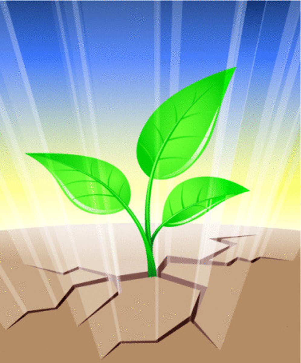 <p>aparecer, emerger, florecer</p>