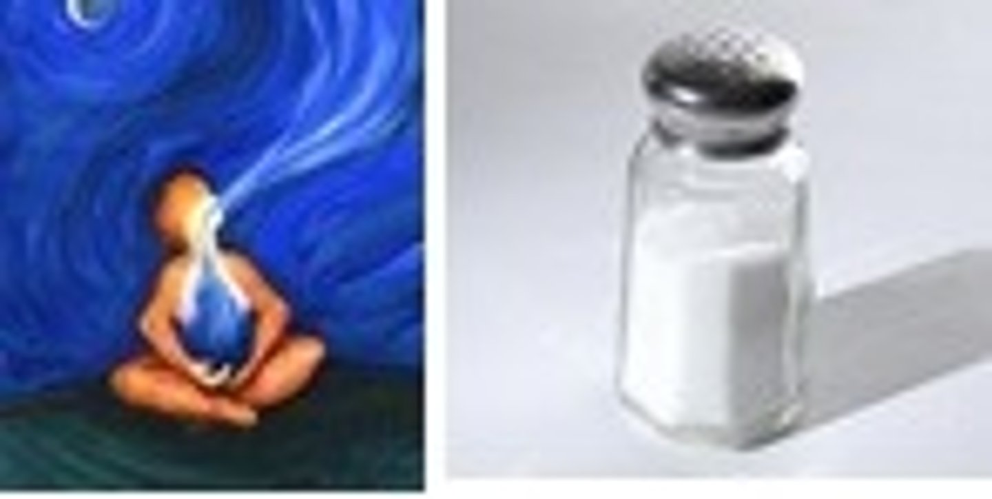 <p>(i) to breathe, breath: (ii) salt</p>