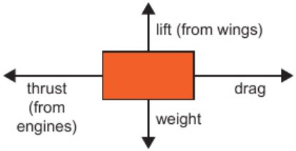 <p>direction of arrow = direction of force</p><p>length of arrow = size of force</p>
