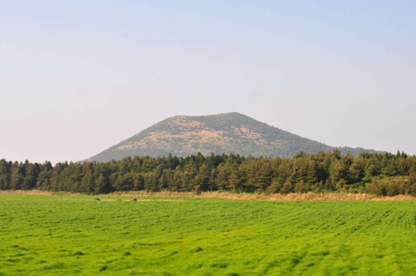 <p>extinct, extinguished</p>