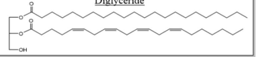 <p>What is this structure</p>