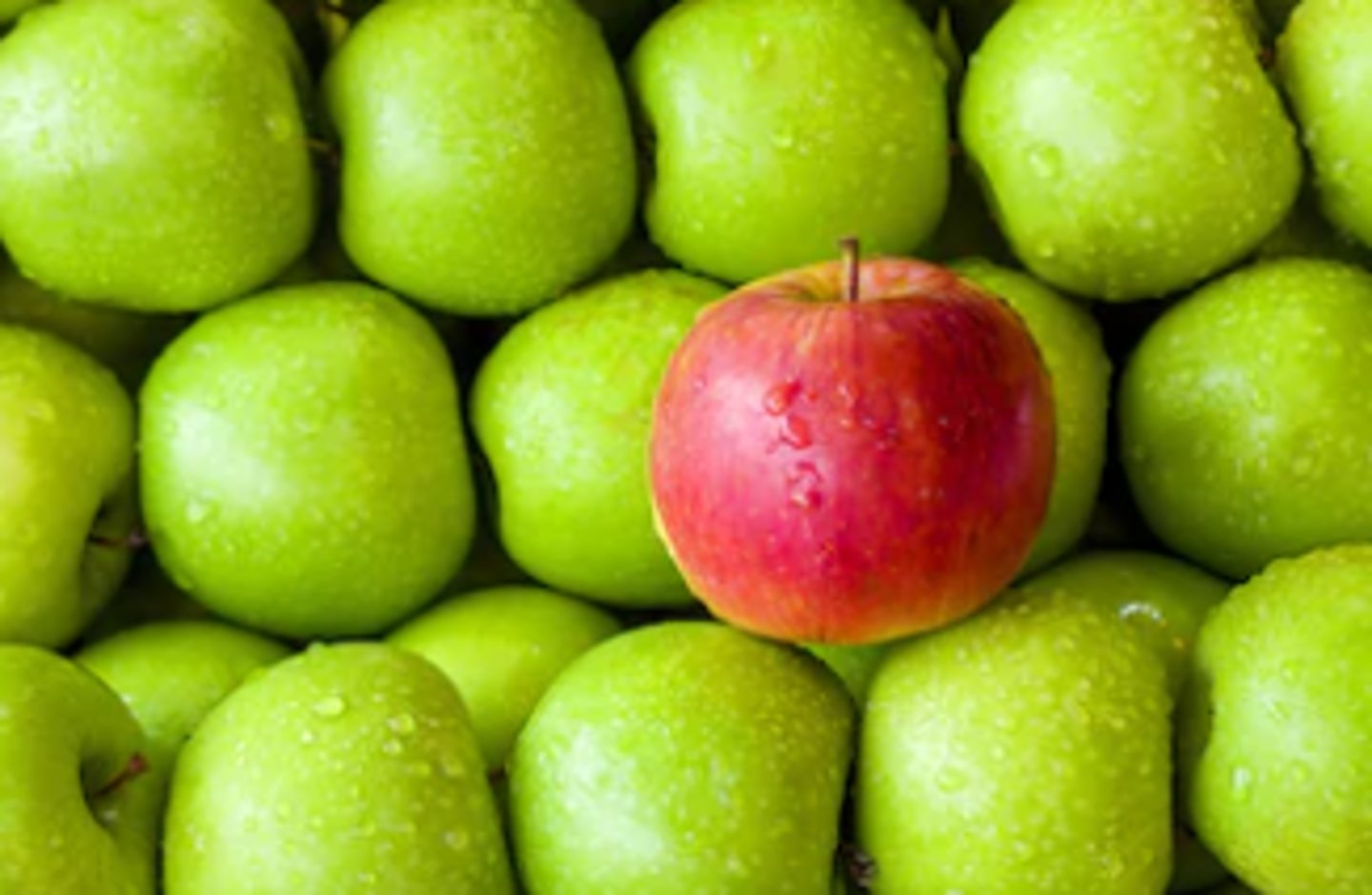 <p>unique, or very special because there is nothing else like it</p>