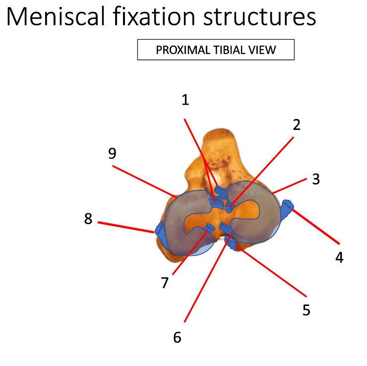 <p>2</p>