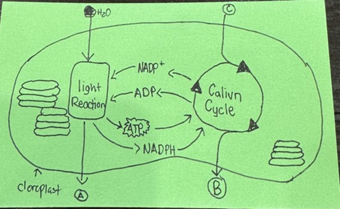<p>What is A</p>