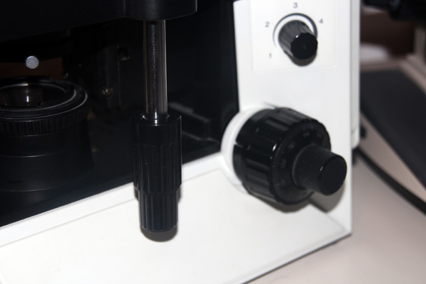 <p>Mechanical Stage adjustment knob</p>