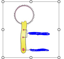 <p>what is labeled?</p>