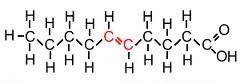 Hydrogen atoms on opposite sides
Do not bend
Have a higher melting point
Produced artificially by partial hydrogenation of vegetable or fish oils
- Done to produce solid fats like in margarine