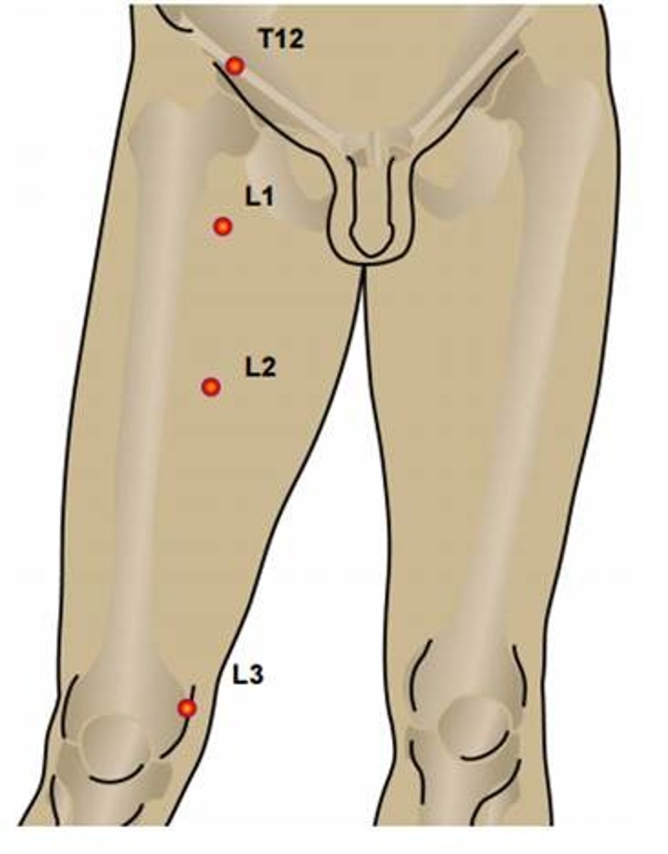 <p>medial side of the knee joint</p>
