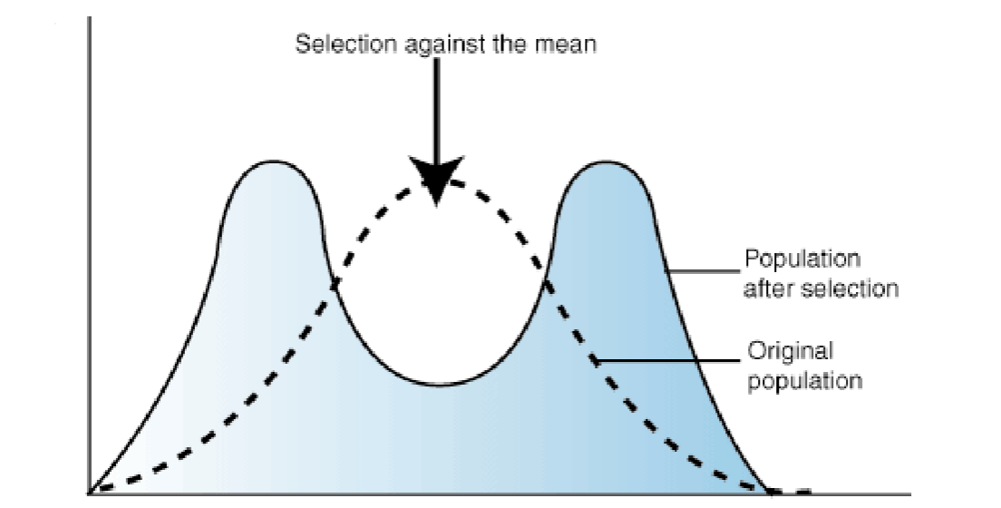 <p><span style="font-size: calc(var(--scale-factor)*24.05px)">when individuals with either extreme </span><span style="font-size: calc(var(--scale-factor)*24.02px)">phenotype experience higher fitness than individuals with an intermediate phenotype.</span></p><p><span style="font-size: calc(var(--scale-factor)*24.02px)">ex. mexican spadefoot toad can be carnivorous, omnivorous, or intermediate consumer</span></p>