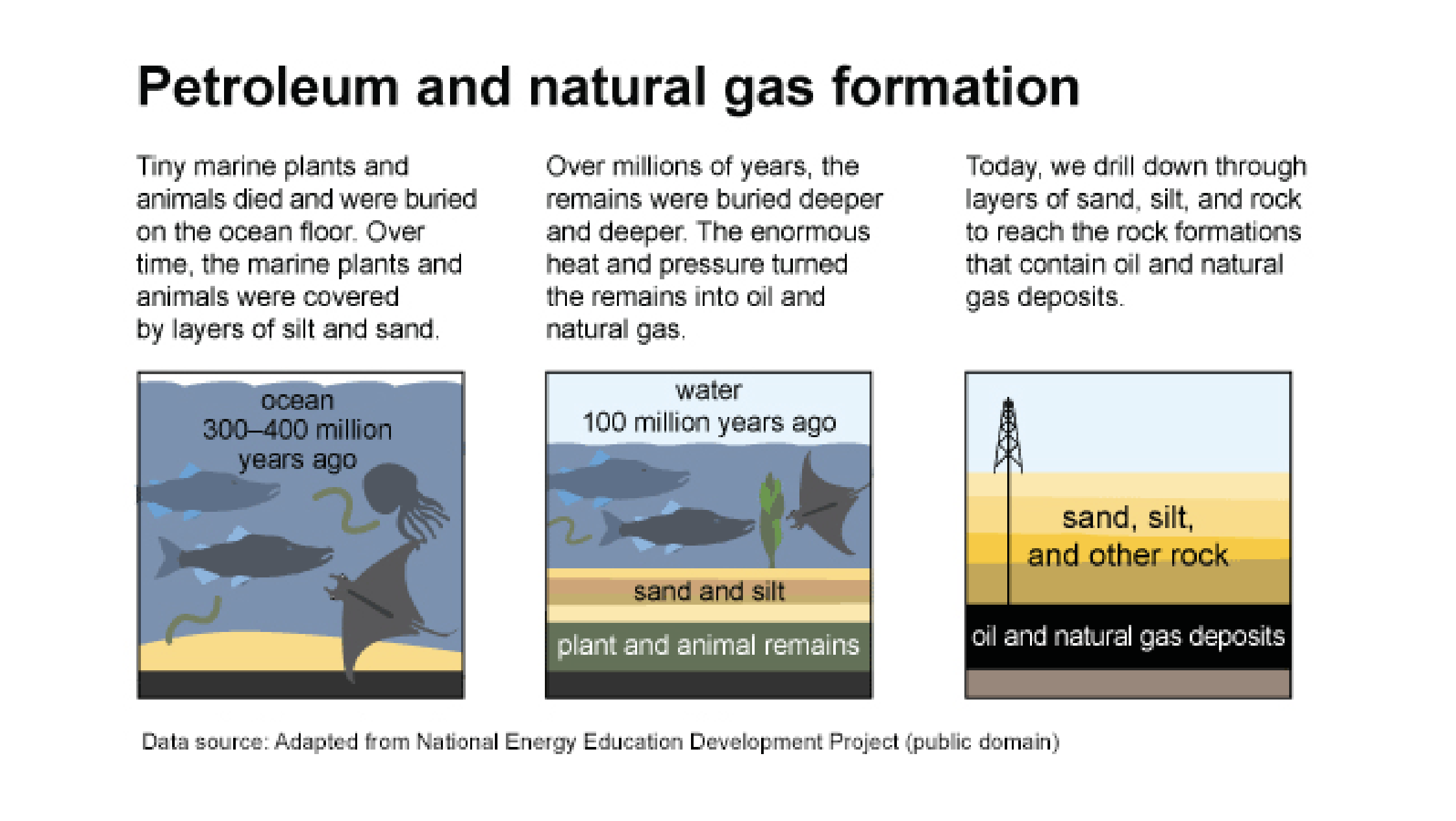 <ul><li><p>ancient marine organisms buried in the ocean floor and compressed by heat and pressure</p></li><li><p>gas and oil deposits form together, ration depends on the type of organic material and conditions</p></li><li><p>highly concentrated in petro states: along Arabian peninsula, Venezeula, etc</p><ul><li><p>their economies depend on oil</p></li></ul></li></ul><p></p>