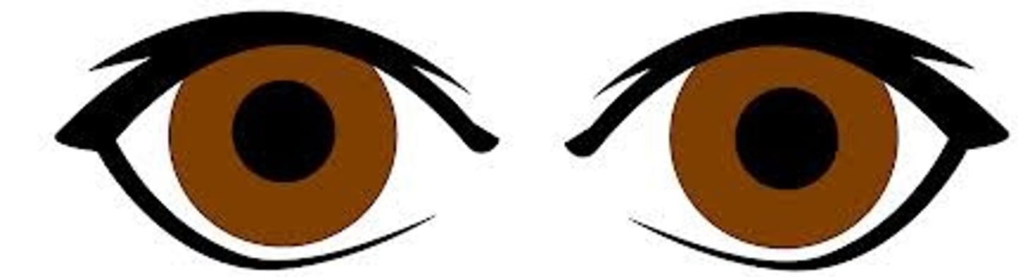 <p>eyes</p>