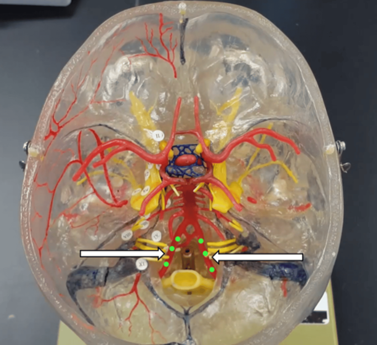 <p>name the structure</p>