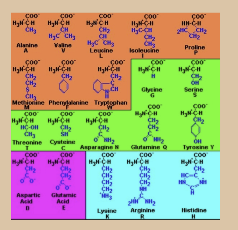 <p>What is the orange group</p>