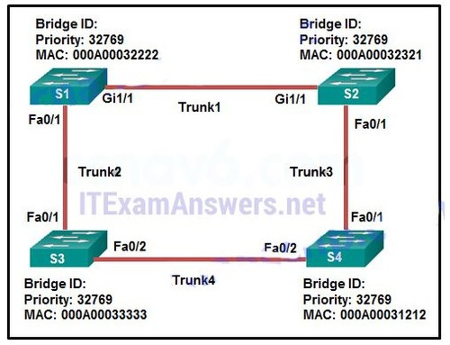 <p>Trunk2</p>