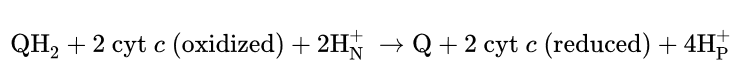 <p>Q cycle</p>