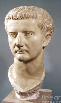 <p>tiberius</p>