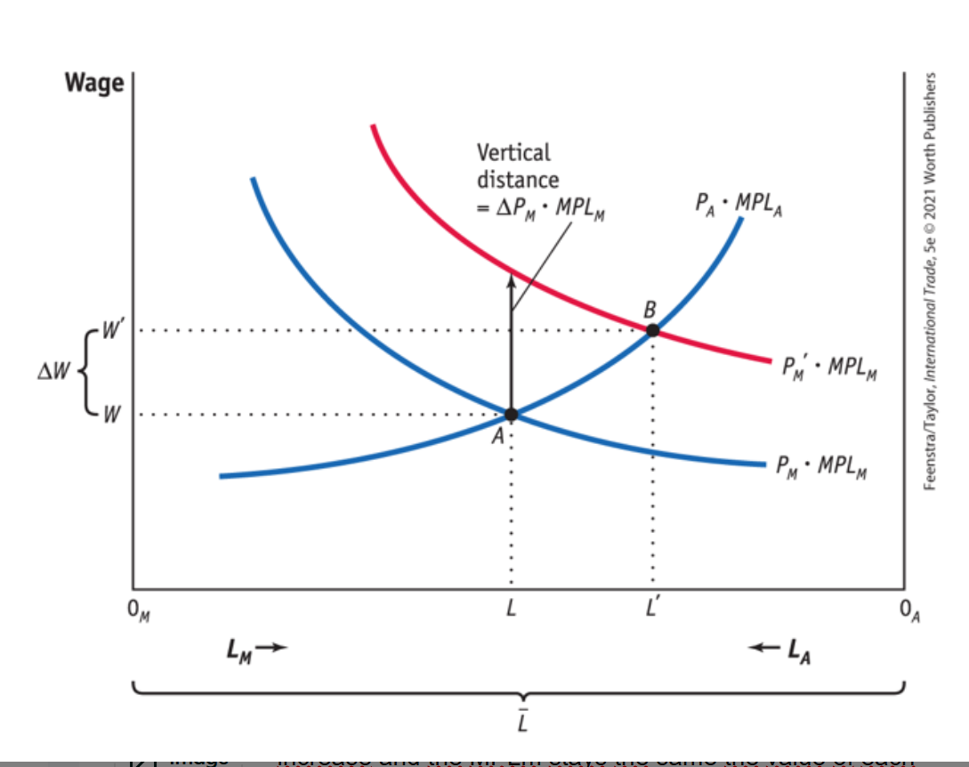 <p>How is that Wages rise, but not as much as price rises?</p>