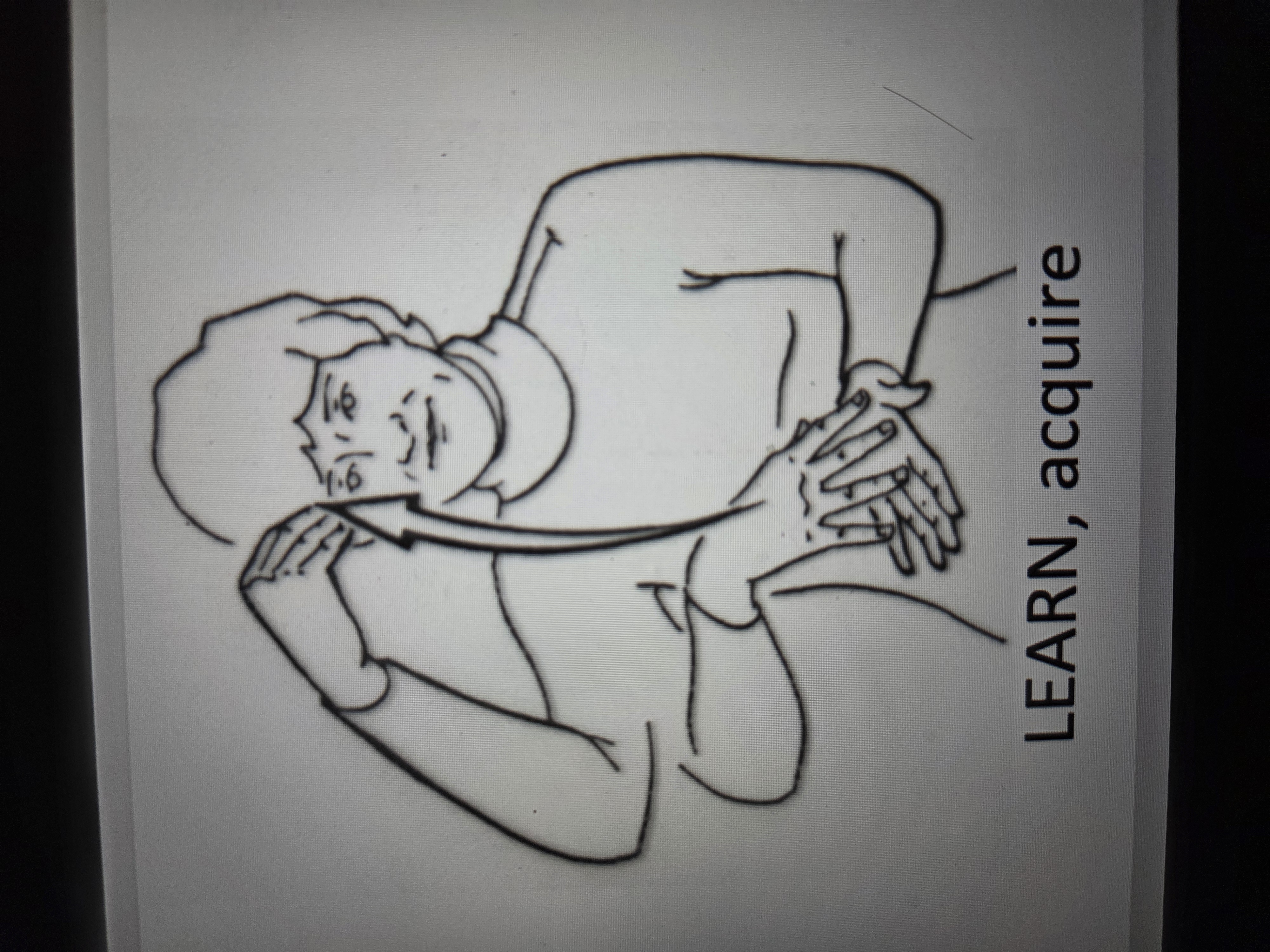 knowt flashcard image