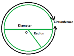 <p>circumference of circle</p>