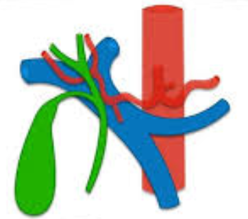 <p>What structures does the <strong>portal triad </strong>consist of?</p>