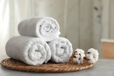 <p>Towel</p>
