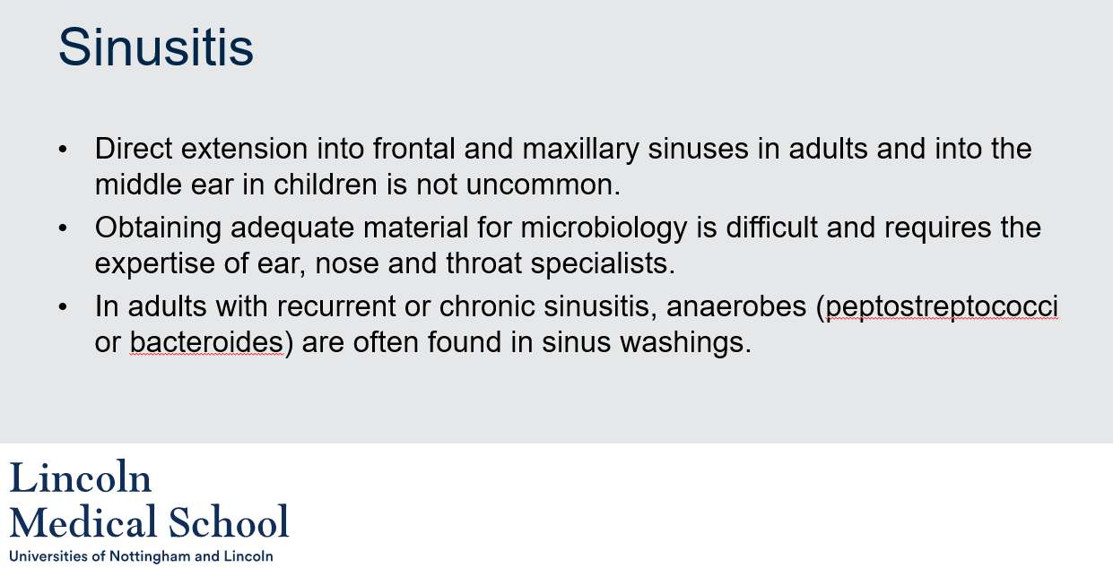 <ol><li><p>Direct extension into the frontal and maxillary sinuses in adults and into the middle ear in children is not uncommon with sinusitis. This can cause additional symptoms and complications such as ear infections, facial pain, and difficulty breathing.</p></li><li><p>Obtaining adequate material for microbiology in sinusitis cases is difficult because the sinuses are located deep in the skull and are difficult to access. This requires the expertise of ear, nose, and throat (ENT) specialists to properly collect and analyze samples.</p></li><li><p>Anaerobes such as peptostreptococci or bacteroides are often found in sinus washings of adults with recurrent or chronic sinusitis.</p></li></ol>