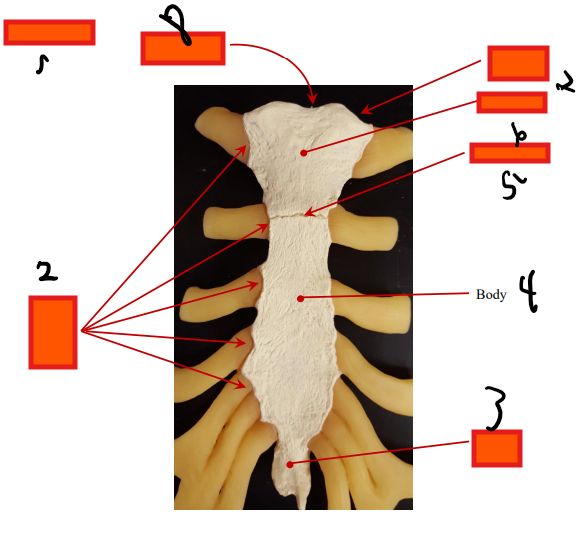 <p>#4</p>