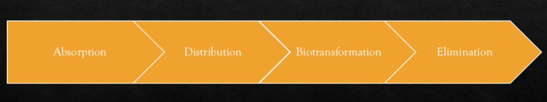 <p>Explain elimination in relation to the pharmakinetics of drugs.</p>