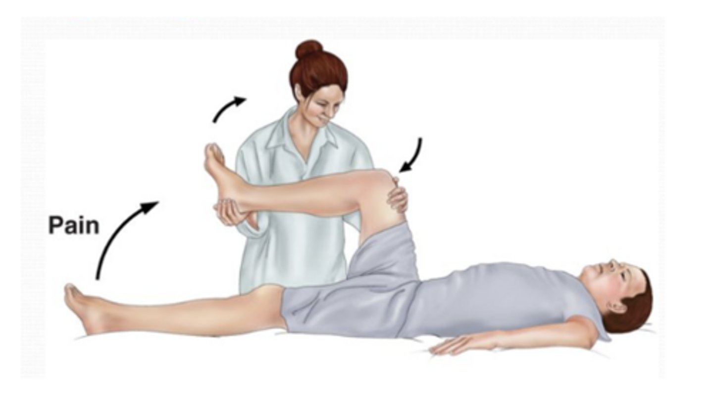 <p>Patient lies supine, thigh is flexed at right angle, and it hurts to extend leg</p><p>*Sign of meningitis</p>