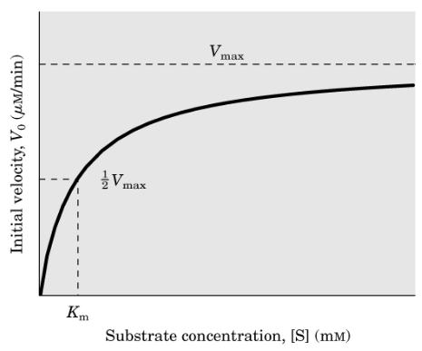 <p>Michaelis-Menten graph</p>