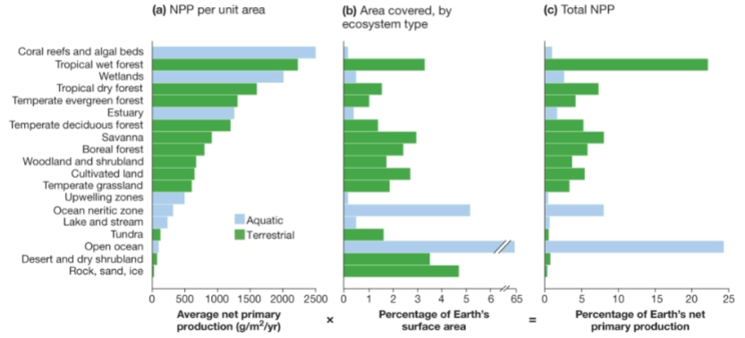 <ul><li><p>open oceans = low</p><ul><li><p>majority of earth’s surface</p></li></ul></li><li><p>topical wet forests = high</p><ul><li><p>occupy modest amounts of earth’s surface</p></li></ul></li><li><p>coral reefs = most productive</p><ul><li><p>small surface area → limiting NPP contribution</p></li></ul></li></ul><p></p>