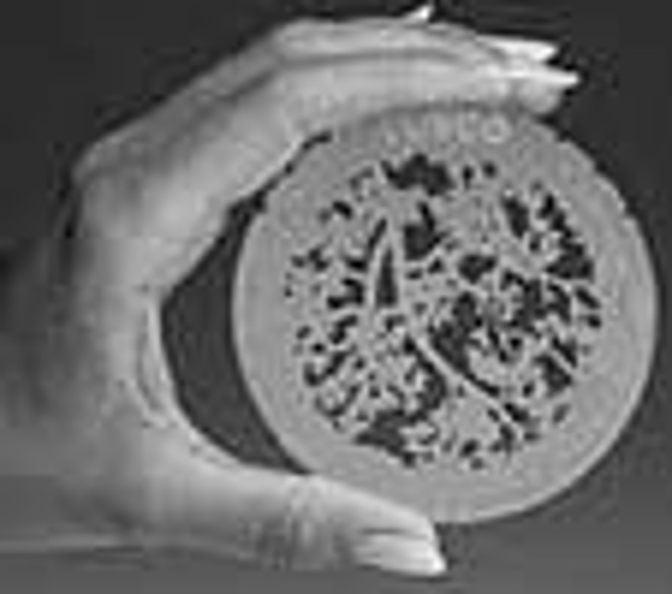 <p>a thin metal template with a pattern punched out; attached to a lighting instrument to create patterned or textured lighting effects</p>