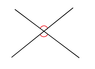 <p>What type of angle is this ?</p>