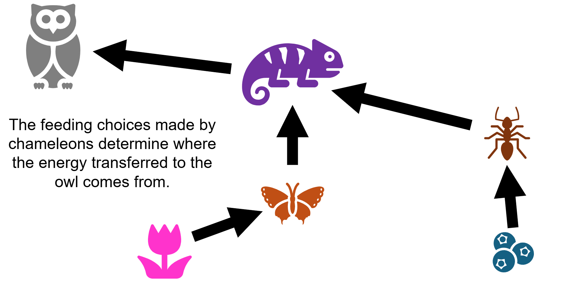 <ul><li><p><span><span>A type of ecological network that shows who eats whom and how much</span></span></p></li><li><p><span><span>Organisms mediate the movement of matter and energy through ecosystems</span></span></p></li><li><p><span><span>Organisms sometimes eat more of certain resources and less of others</span></span></p></li><li><p><span><span>Matter and energy can move through multiple pathways</span></span></p></li><li><p><span><span>Are also a map for how pollutants and toxins flow through an ecosystem!</span></span></p></li></ul><p></p>