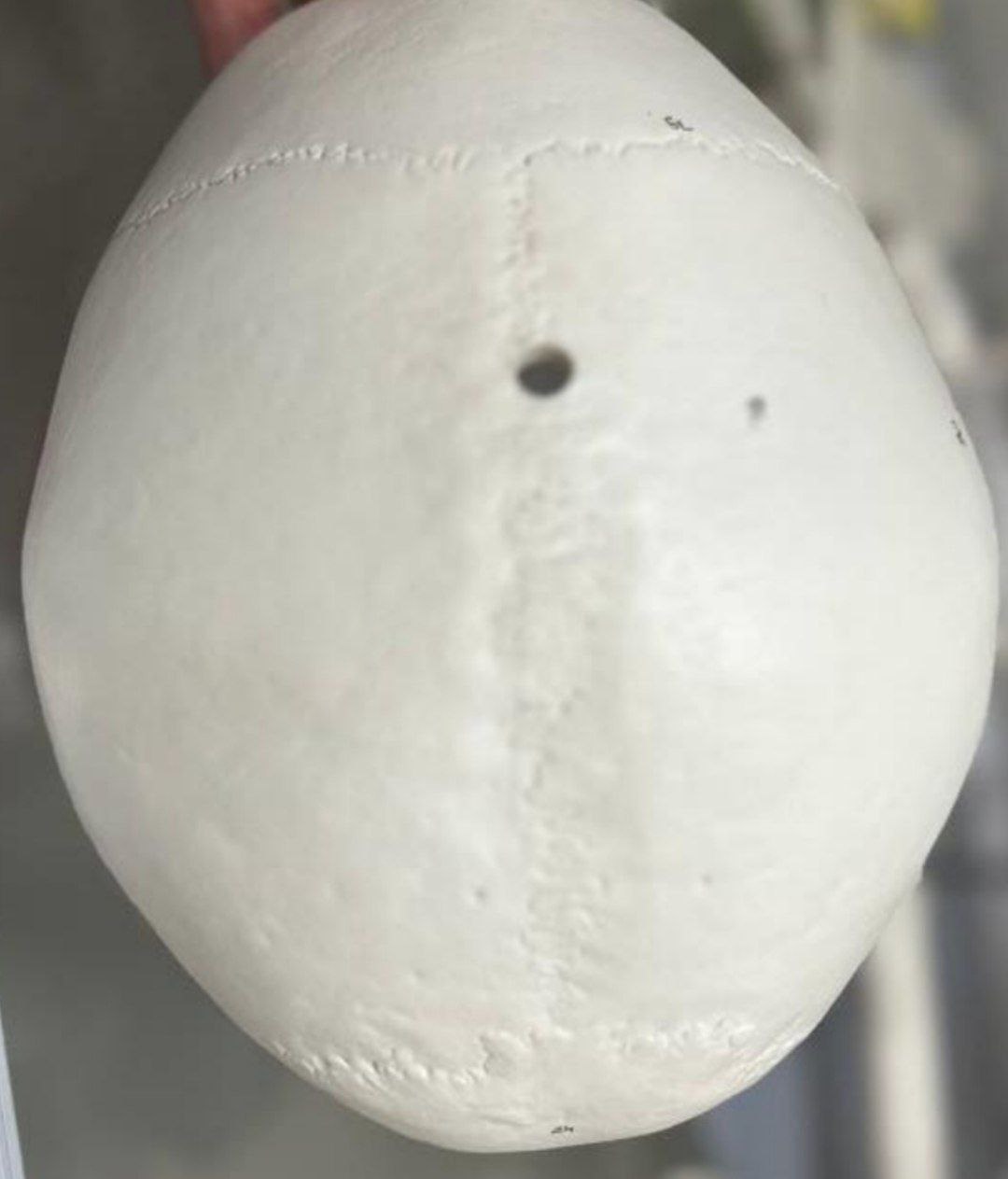 <p>Identify the bone and classify according to position and shape </p>