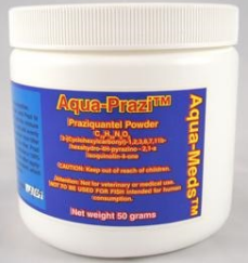 <p>Praziquantel powder</p>
