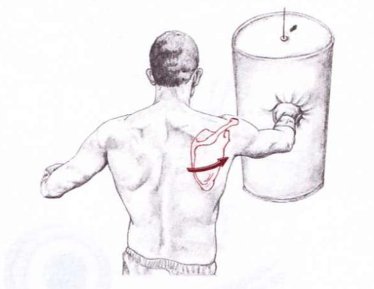 <p>Moving a part forward</p>