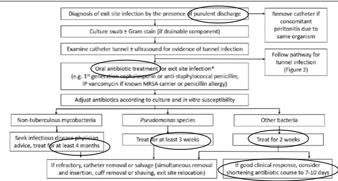 <p>Oral antibiotic treatment for exit site infection</p>