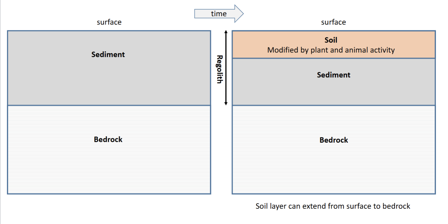 <p>Initially the surface only had sediments but overtime soil forms at the surface</p>