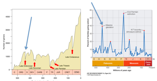 - 447-443 million years ago
- 49% of genera went extinct
- Global cooling, glaciation, and sea level decline are associated with the major land mass movement