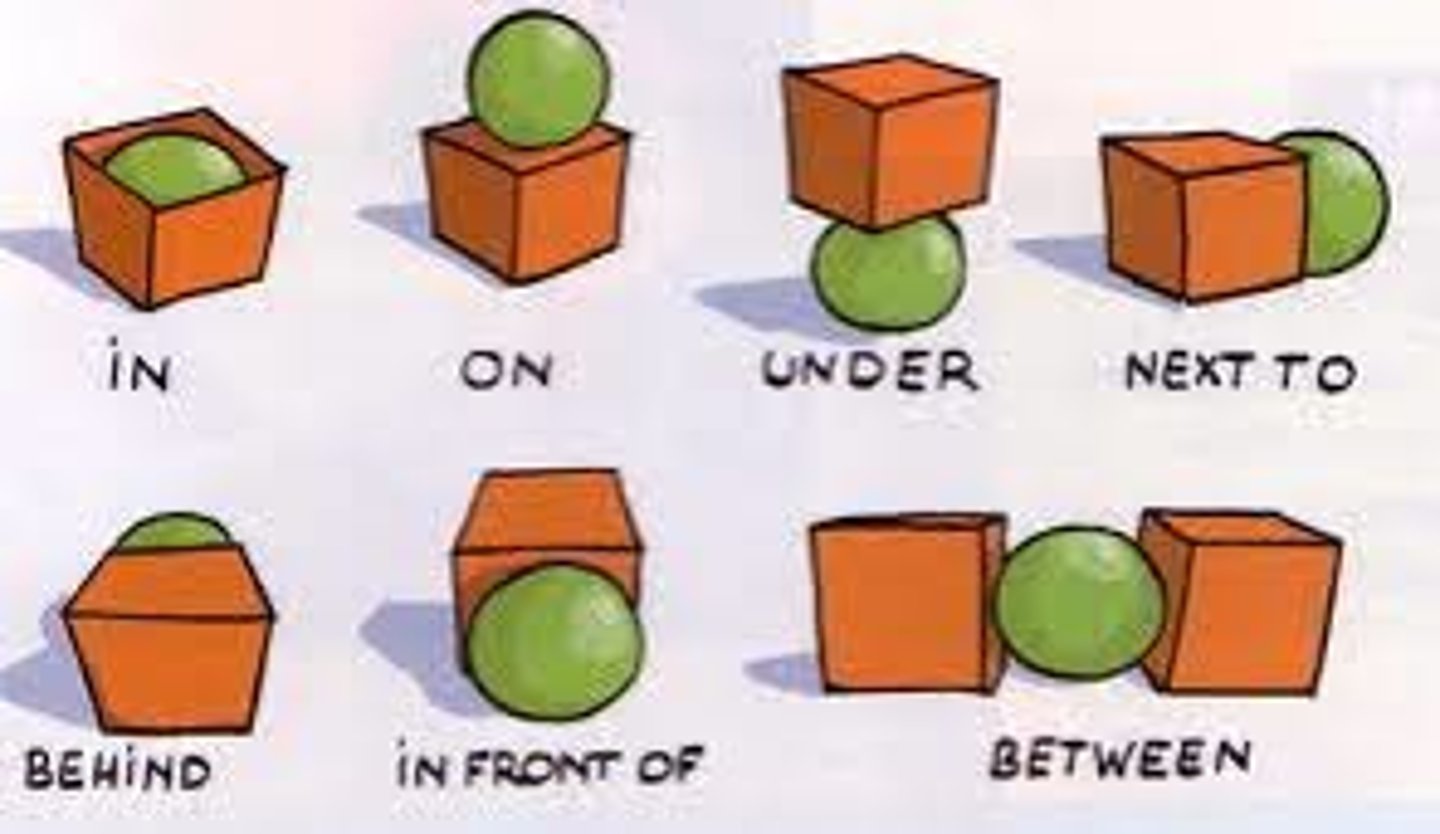 <p>Shows relationship of a noun or pronoun to some other word in the sentence. words that indicate location</p><p>Most prepositions will tell you about direction, time, location and position</p><p>Ex: to, forward, at, around, after, before, under, beside</p>